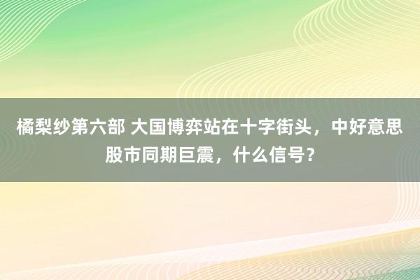 橘梨纱第六部 大国博弈站在十字街头，中好意思股市同期巨震，什么信号？