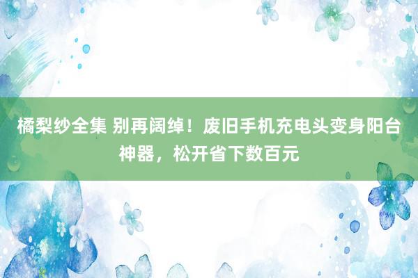 橘梨纱全集 别再阔绰！废旧手机充电头变身阳台神器，松开省下数百元