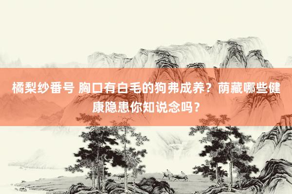 橘梨纱番号 胸口有白毛的狗弗成养？荫藏哪些健康隐患你知说念吗？