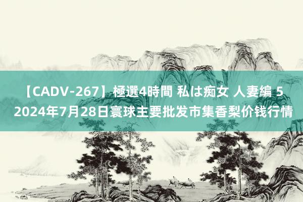 【CADV-267】極選4時間 私は痴女 人妻編 5 2024年7月28日寰球主要批发市集香梨价钱行情