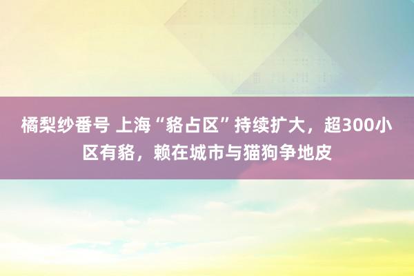 橘梨纱番号 上海“貉占区”持续扩大，超300小区有貉，赖在城市与猫狗争地皮