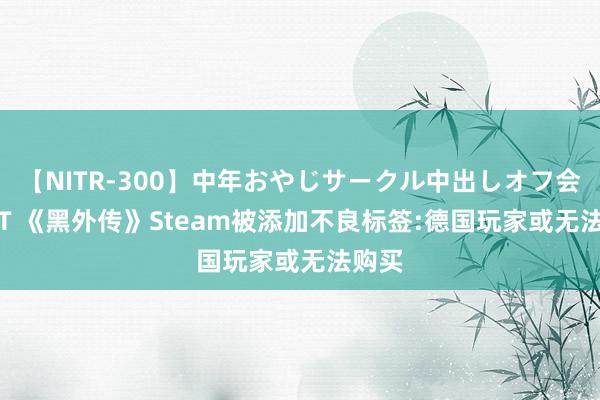 【NITR-300】中年おやじサークル中出しオフ会 BEST 《黑外传》Steam被添加不良标签:德国玩家或无法购买