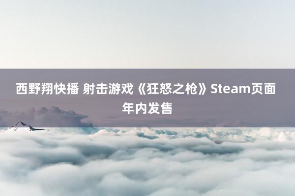 西野翔快播 射击游戏《狂怒之枪》Steam页面 年内发售