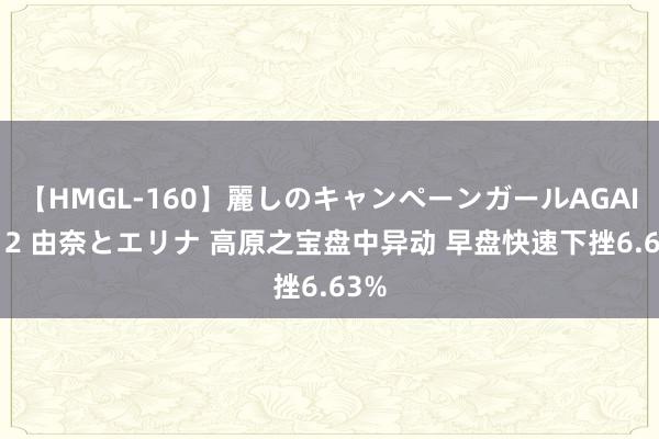 【HMGL-160】麗しのキャンペーンガールAGAIN 12 由奈とエリナ 高原之宝盘中异动 早盘快速下挫6.63%