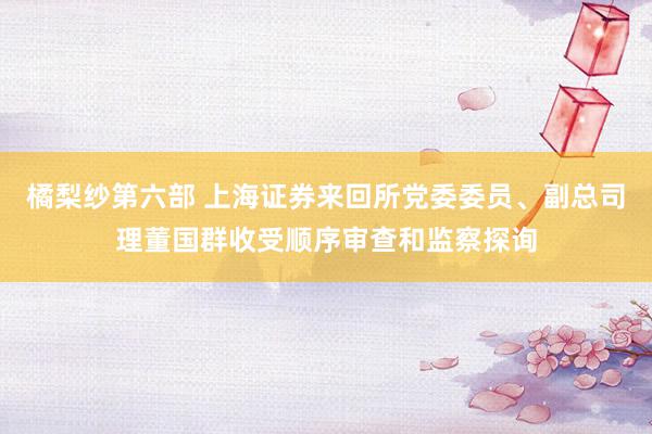 橘梨纱第六部 上海证券来回所党委委员、副总司理董国群收受顺序审查和监察探询