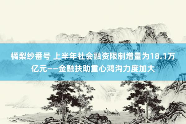 橘梨纱番号 上半年社会融资限制增量为18.1万亿元——金融扶助重心鸿沟力度加大