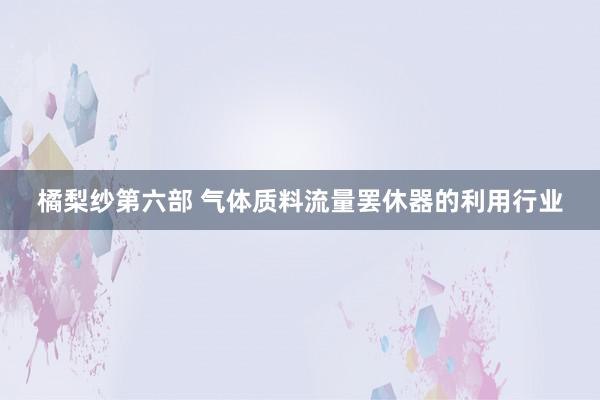 橘梨纱第六部 气体质料流量罢休器的利用行业