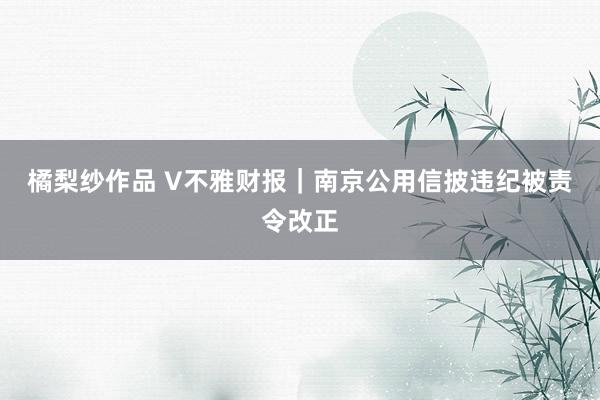 橘梨纱作品 V不雅财报｜南京公用信披违纪被责令改正