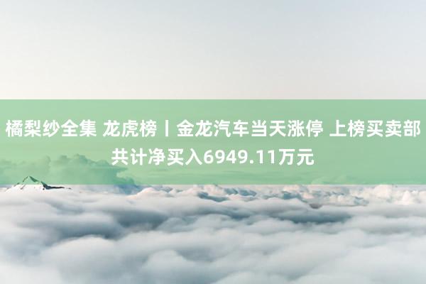 橘梨纱全集 龙虎榜丨金龙汽车当天涨停 上榜买卖部共计净买入6949.11万元