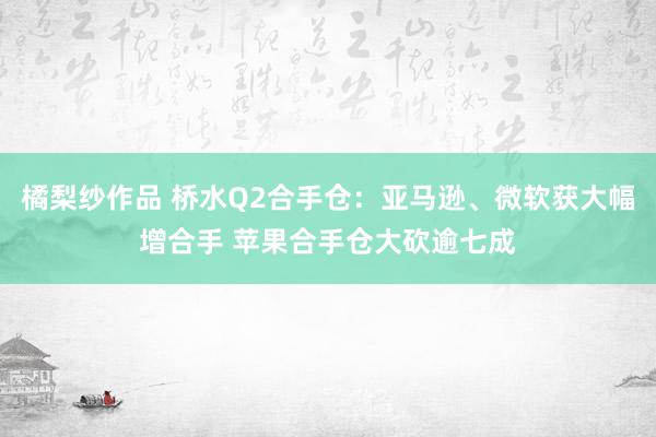 橘梨纱作品 桥水Q2合手仓：亚马逊、微软获大幅增合手 苹果合手仓大砍逾七成