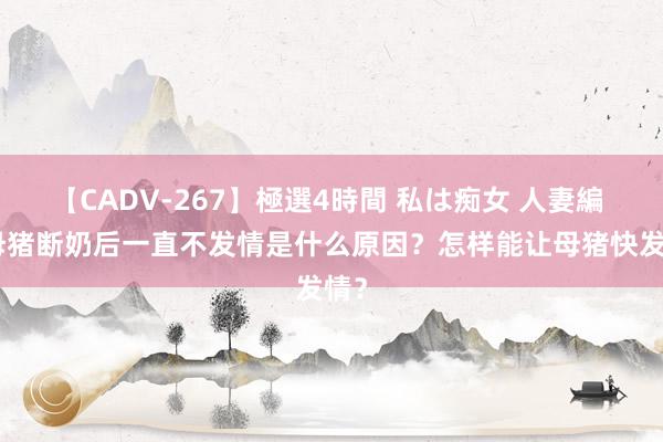 【CADV-267】極選4時間 私は痴女 人妻編 5 母猪断奶后一直不发情是什么原因？怎样能让母猪快发情？