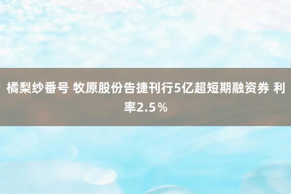 橘梨纱番号 牧原股份告捷刊行5亿超短期融资券 利率2.5％