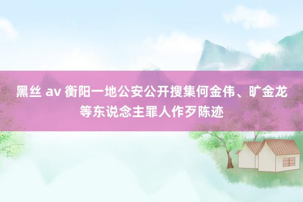 黑丝 av 衡阳一地公安公开搜集何金伟、旷金龙等东说念主罪人作歹陈迹