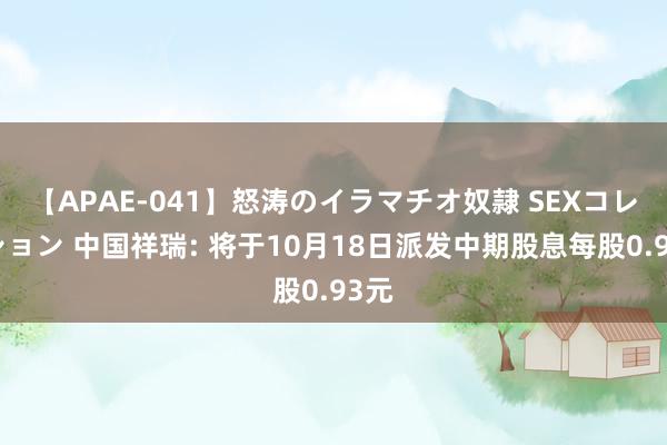 【APAE-041】怒涛のイラマチオ奴隷 SEXコレクション 中国祥瑞: 将于10月18日派发中期股息每股0.93元