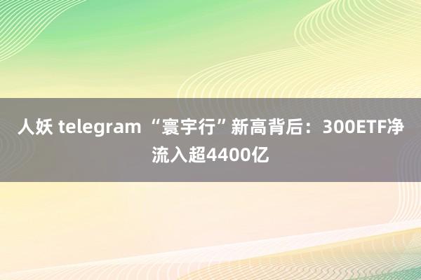 人妖 telegram “寰宇行”新高背后：300ETF净流入超4400亿