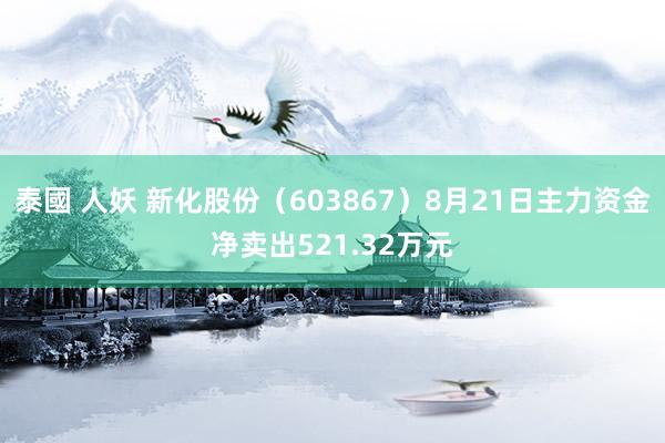 泰國 人妖 新化股份（603867）8月21日主力资金净卖出521.32万元