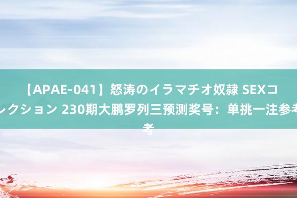 【APAE-041】怒涛のイラマチオ奴隷 SEXコレクション 230期大鹏罗列三预测奖号：单挑一注参考